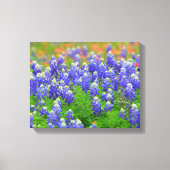 Blauwnetten van de lente canvas afdruk (Voorkant)