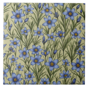 Blauwogig grasbloempatroon tegeltje