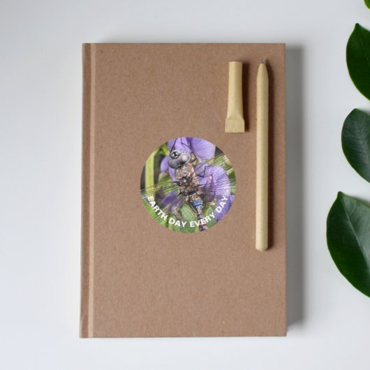 Blauwogige Darner Dragonfly Earth Day Ronde Sticker