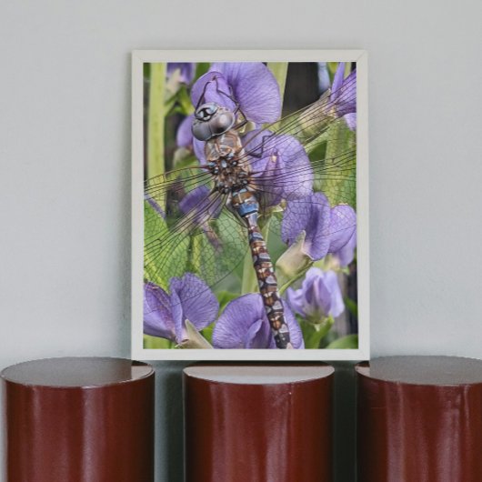 Blauwogige Darner Dragonfly Glossy Fotografisch Perfect Poster