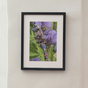 Blauwogige darner libel op bloem foto afdruk