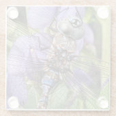 Blauwogige darner libel op bloem glazen onderzetter (Achterkant)