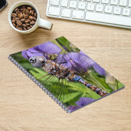 Blauwogige darner libel op bloem notitieboek