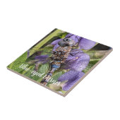 Blauwogige darner libel op bloem tegeltje (Zijkant)