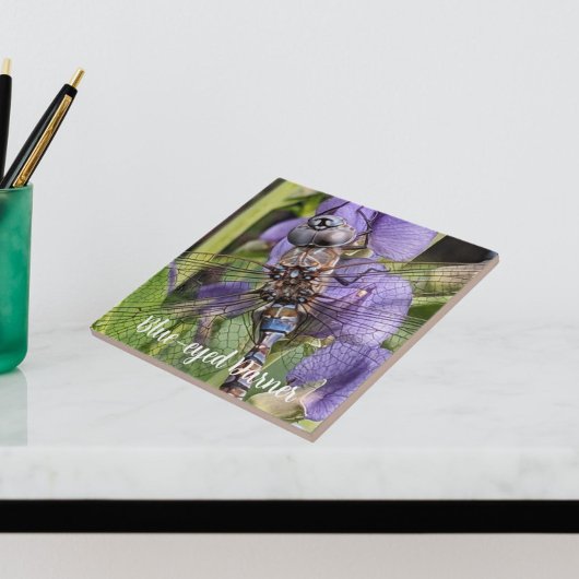 Blauwogige darner libel op bloem tegeltje