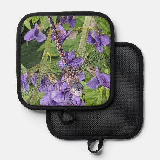 Blauwogige darner libel op paarse bloemen pannenlap (Voorkant / Achterkant)