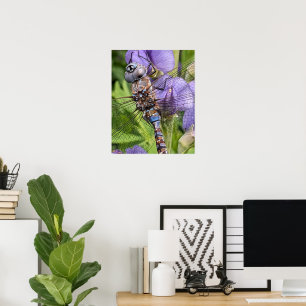 Blauwogige Glazenmaker Libel Fotografie Poster