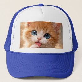 Blauwogige kitten die zijn poot likt trucker pet