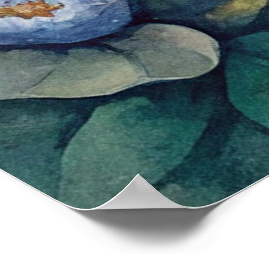 Blauwogige kitten poster (Hoek)