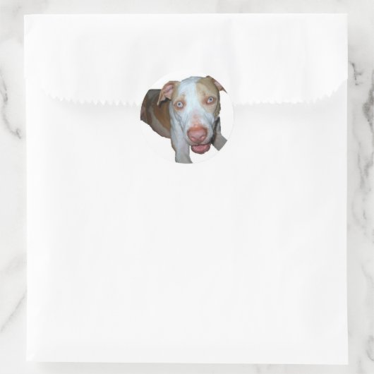 blauwogige pitbull sticker (Tas)