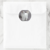 Blauwogige Ragdoll Cat Purfection Ronde Sticker (Tas)