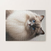 Blauwogige Ragdoll Kat | Fluffy Luxe Legpuzzel (Horizontaal)