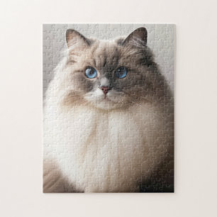 Blauwogige Ragdoll Kat   Fluffy Luxe Legpuzzel