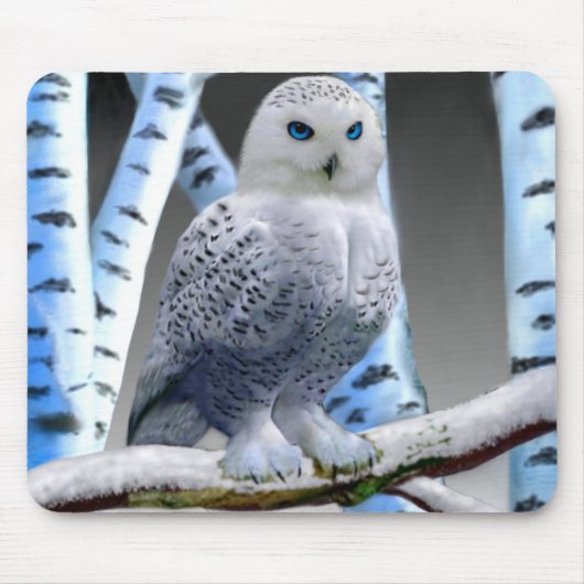 BLAUWOGIGE SNEEUWUIL MUISMAT (Voorkant)