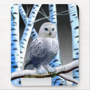 BLAUWOGIGE SNEEUWUIL MUISMAT