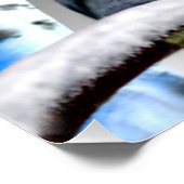 BLAUWOGIGE SNEEUWUIL PERFECT POSTER (Hoek)