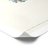 Blauwooggele Warbler door Poster van Audubon (Hoek)