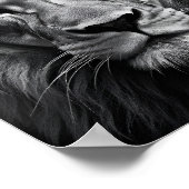 Blauwooien Poster (Hoek)