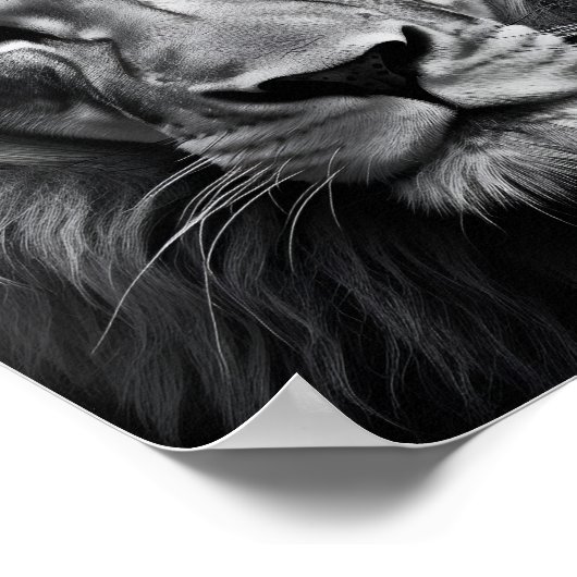 Blauwooien Poster (Hoek)