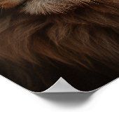 Blauwooien Poster (Hoek)