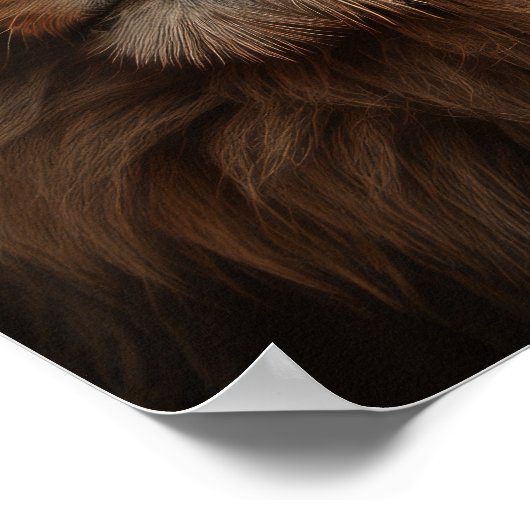 Blauwooien Poster (Hoek)