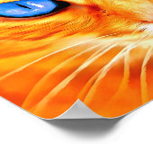 Blauwooienkat Poster (Hoek)