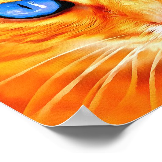 Blauwooienkat Poster (Hoek)