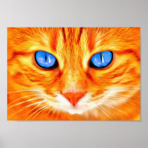 Blauwooienkat Poster