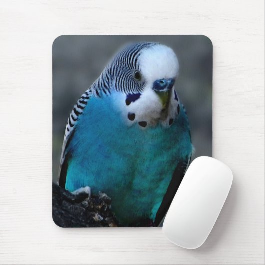 Blauwparaket mousepad muismat (Met muis)