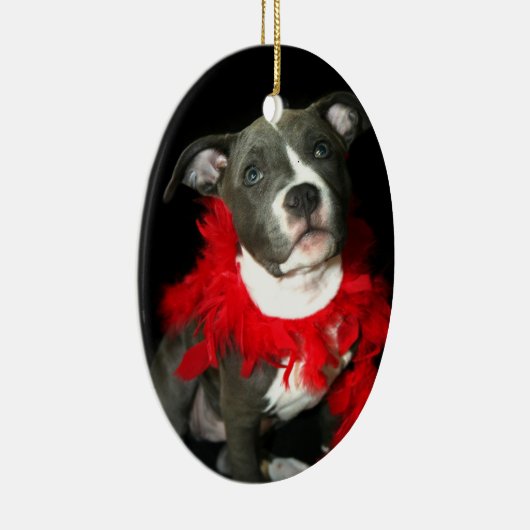 Blauwpeerpapegaai Keramisch Ornament (Rechts)