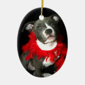 Blauwpeerpapegaai Keramisch Ornament (Voorkant)