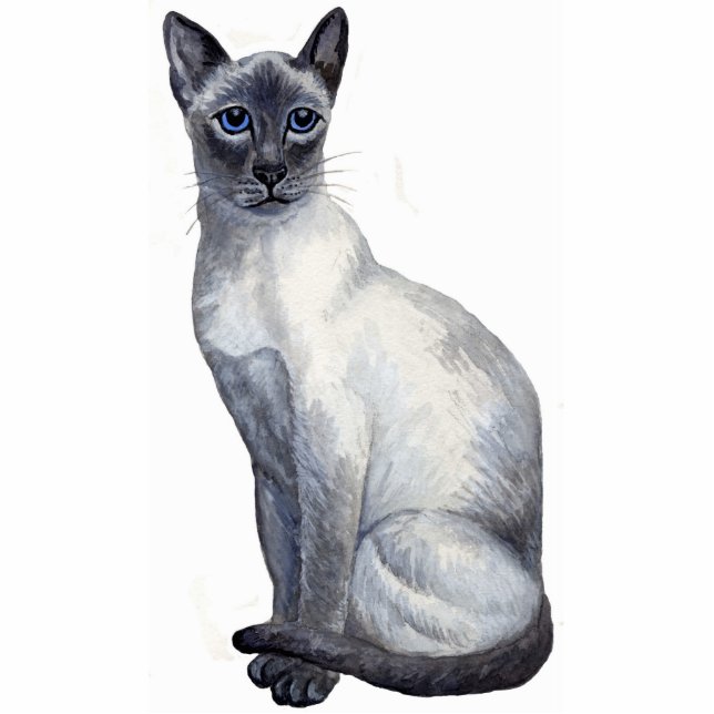 Blauwpuntige siamese katsculptuur staand fotobeeldje  (Voorkant)