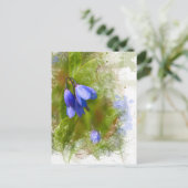 blauwriemen op wit briefkaart (Staand voorkant)