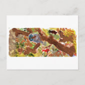 Blauwrode uil in een briefkaart (Voorkant)