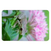 Blauwroze bloemen Flexi Magnet Magneet (Horizontaal)