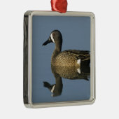 Blauwscharnierend Blauwgroen, Anas discors, mannel Metalen Ornament (Rechts)
