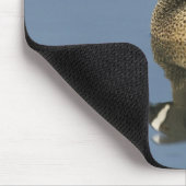 Blauwscharnierend Blauwgroen, Anas discors, mannel Muismat (Hoek)