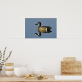 Blauwscharnierend Blauwgroen, Anas discors, mannel Poster (Keuken)