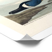 Blauwscharnierend Blauwgroen door het Poster van A (Hoek)