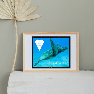 Blauwschildpad in hartschildpadden Hawaii Poster