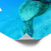 Blauwschildpad in hartschildpadden Hawaii Poster (Hoek)