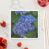 Blauwschildpadden - de blauwe hydrangea servet (Insitu)