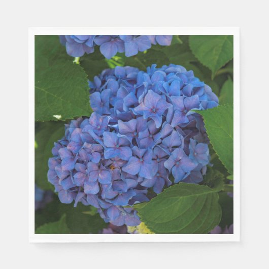 Blauwschildpadden - de blauwe hydrangea servet (Voorkant)