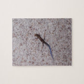 blauwstaartskinkpuzzel legpuzzel (Horizontaal)