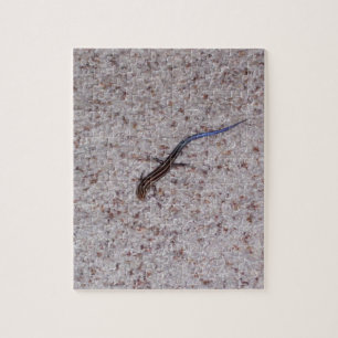 blauwstaartskinkpuzzel legpuzzel