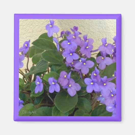 Blauwste Blauwe Violets Magneet (Voorkant)