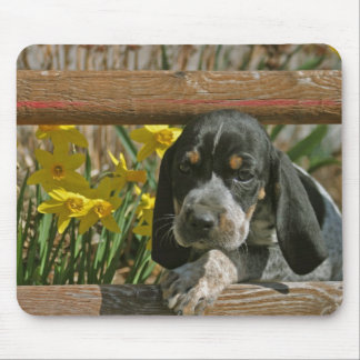 Blauwtekenpuppy Muismat