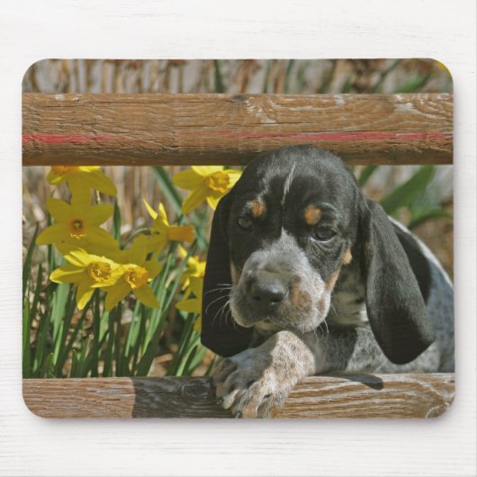 Blauwtekenpuppy Muismat (Voorkant)