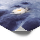 blauwtje poster (Hoek)