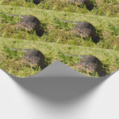 Blauwtonghagedis kruipend in het gras, cadeaupapier (Hoek)
